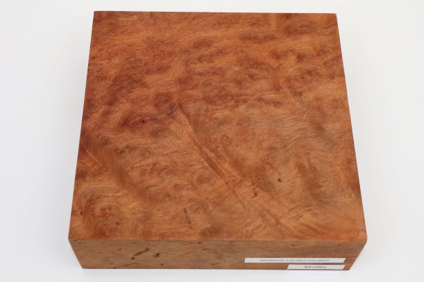 Kamfora czeczot camphor burl drewno do toczenia wood for turning