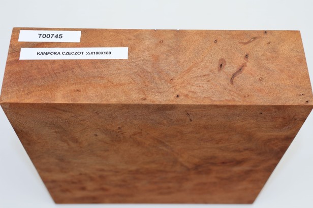 Kamfora czeczot camphor burl drewno do toczenia wood for turning