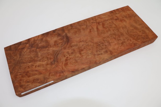 Kamfora czeczot camphor burl deska drewniana wooden board