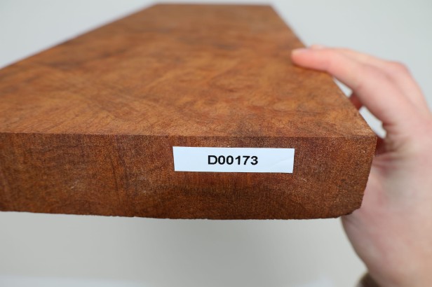 Kamfora czeczot camphor burl deska drewniana wooden board