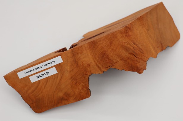 Kamfora czeczot camphor burl