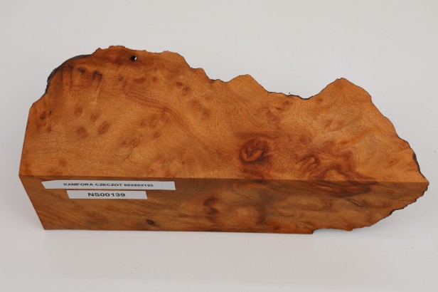Kamfora czeczot camphor burl