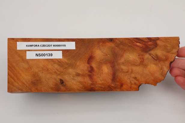 Kamfora czeczot camphor burl