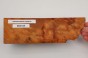 Kamfora czeczot camphor burl