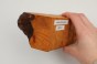 Kamfora czeczot camphor burl
