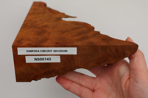 Kamfora czeczot camphor burl