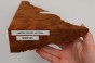 Kamfora czeczot camphor burl