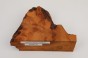 Kamfora czeczot camphor burl