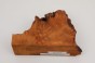 Kamfora czeczot camphor burl