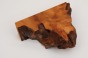 Kamfora czeczot camphor burl