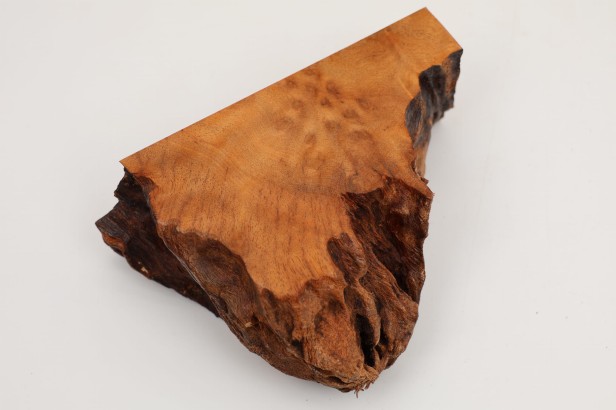 Kamfora czeczot camphor burl