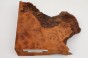 Kamfora czeczot camphor burl