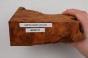 Kamfora czeczot camphor burl