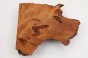 Kamfora czeczot camphor burl