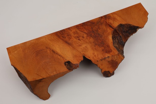 Kamfora czeczot camphor burl