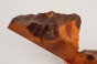 Kamfora czeczot camphor burl