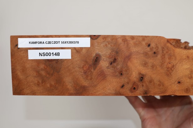 Kamfora czeczot camphor burl