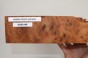 Kamfora czeczot camphor burl