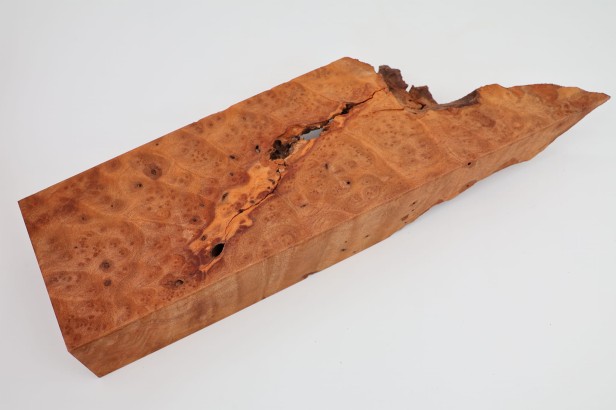 Kamfora czeczot camphor burl
