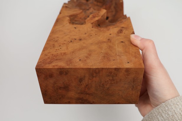 Kamfora czeczot camphor burl