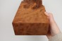 Kamfora czeczot camphor burl