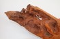 Kamfora czeczot camphor burl