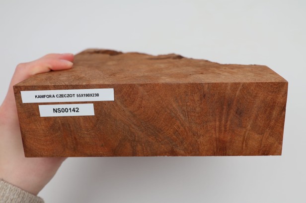 Kamfora czeczot camphor burl