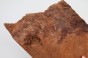 Kamfora czeczot camphor burl
