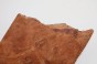 Kamfora czeczot camphor burl