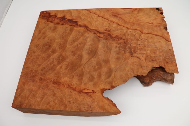 Kamfora czeczot camphor burl