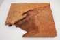 Kamfora czeczot camphor burl