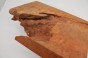 Kamfora czeczot camphor burl