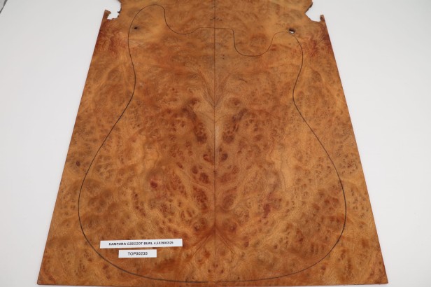 Kamfora czeczot camphor burl top na gitarę guitar top