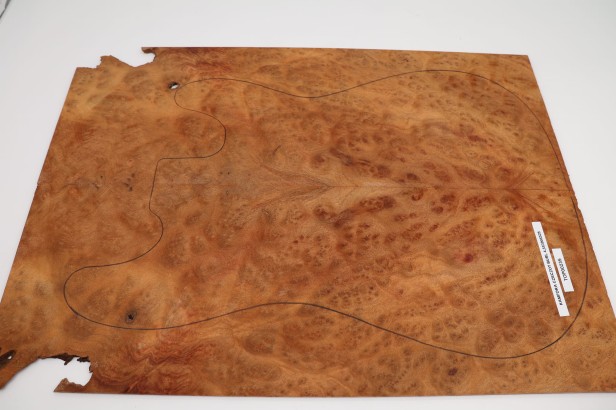 Kamfora czeczot camphor burl top na gitarę guitar top