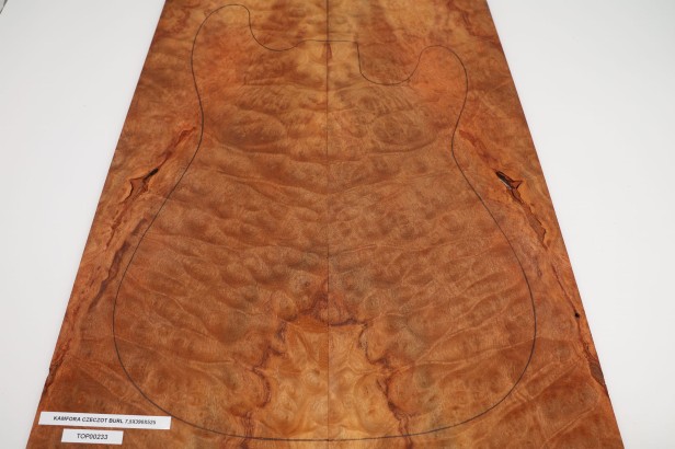 Kamfora czeczot camphor burl top na gitarę guitar top
