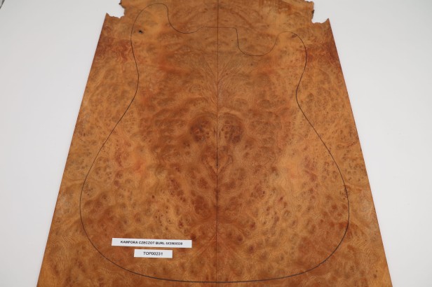 Kamfora czeczot camphor burl top na gitarę guitar top