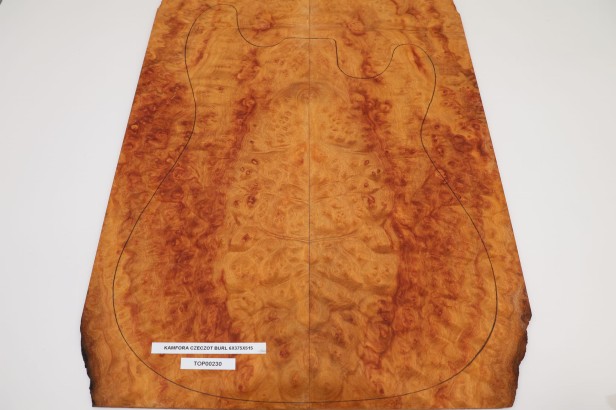 Kamfora czeczot camphor burl top na gitarę guitar top