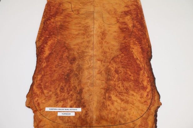 Kamfora czeczot camphor burl top na gitarę guitar top
