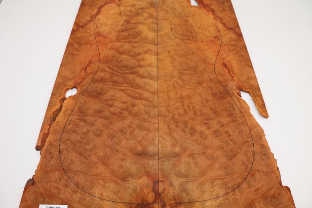 Kamfora czeczot camphor burl top na gitarę guitar top