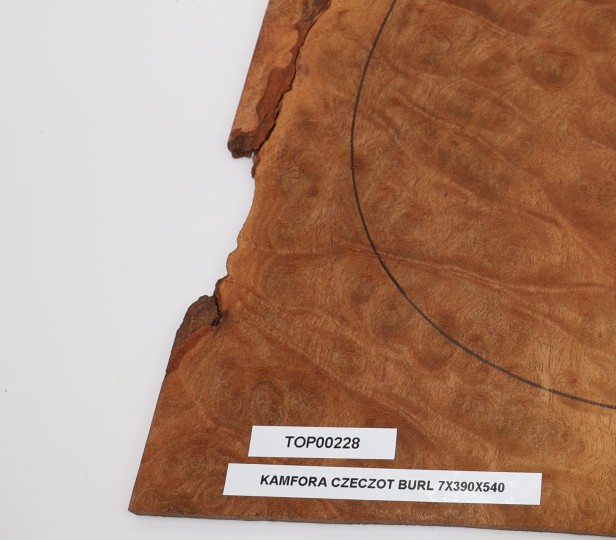 Kamfora czeczot camphor burl top na gitarę guitar top