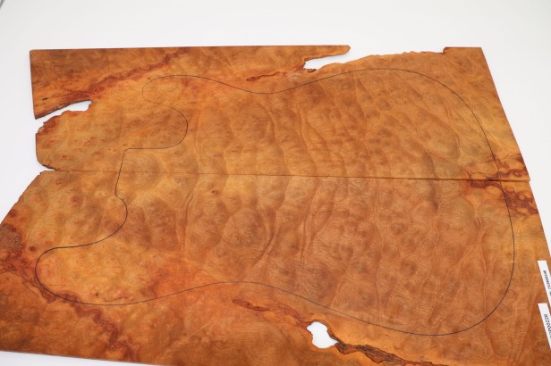 Kamfora czeczot camphor burl top na gitarę guitar top