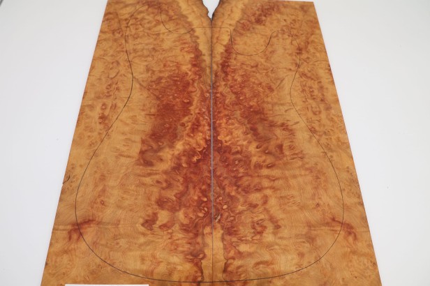 Kamfora czeczot camphor burl top na gitarę guitar top