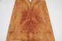 Kamfora czeczot camphor burl top na gitarę guitar top