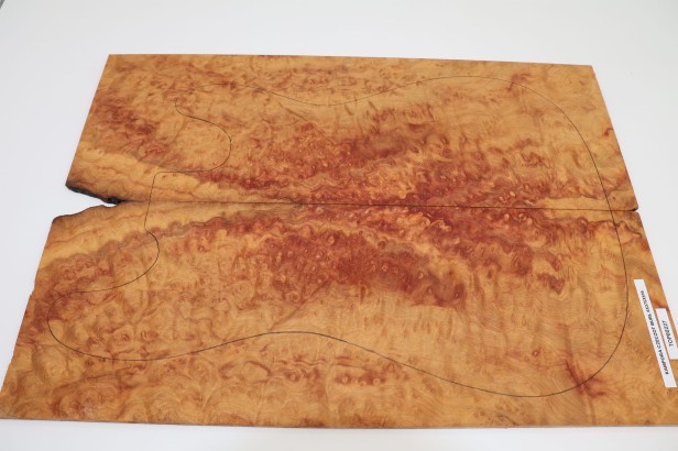 Kamfora czeczot camphor burl top na gitarę guitar top