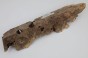 Kasztanowiec amerykański Buckeye czeczot/burl