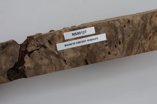Kasztanowiec amerykański Buckeye czeczot/burl
