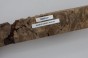 Kasztanowiec amerykański Buckeye czeczot/burl