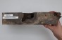 Kasztanowiec amerykański Buckeye czeczot/burl