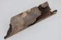 Kasztanowiec amerykański Buckeye czeczot/burl