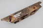 Kasztanowiec amerykański Buckeye czeczot/burl